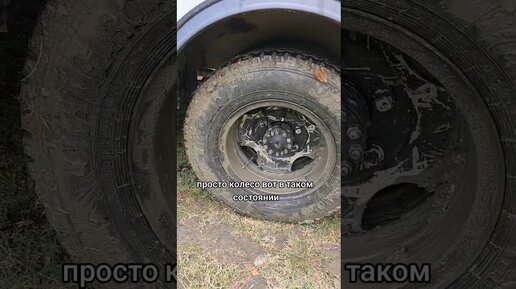 Palgovi4i ДОМ на КОЛЁСАХ из автобуса #vanlife | Не После ливней в Сочи ...