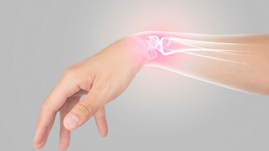     Источник: здесь и далее ShutterStock/Fotodom.ru