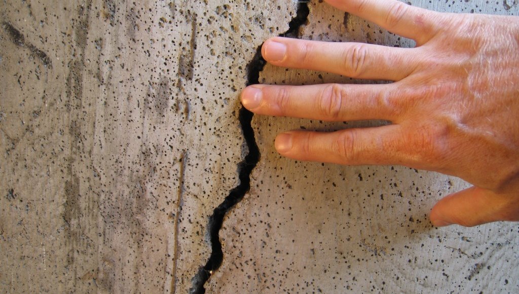    Фото: из открытых источников