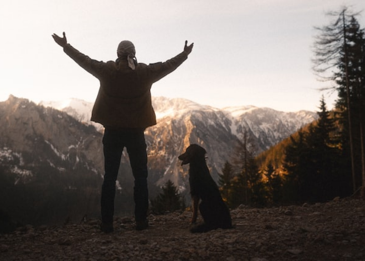 Из ресурсов интернета