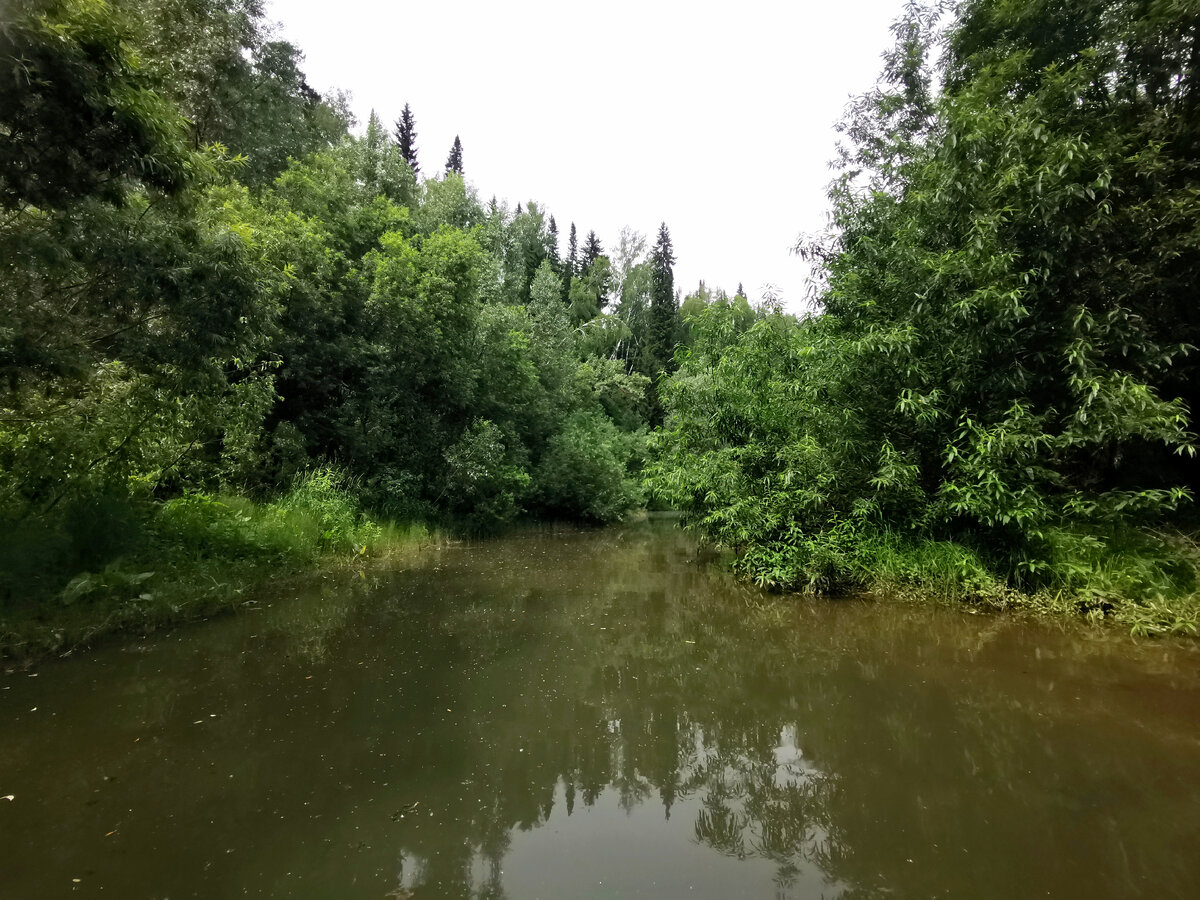 Фото автора канала 