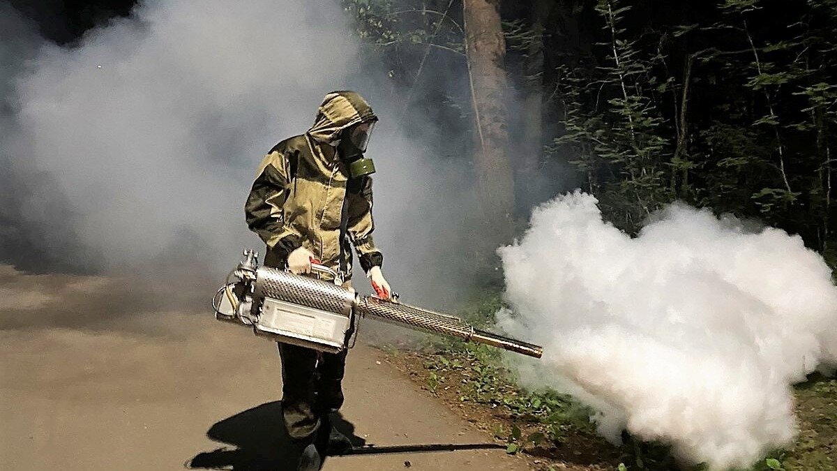     Проверка показала успешный результат обработки.