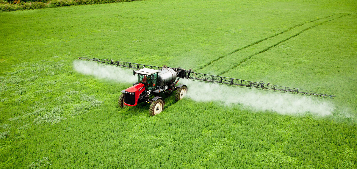 фото для примера