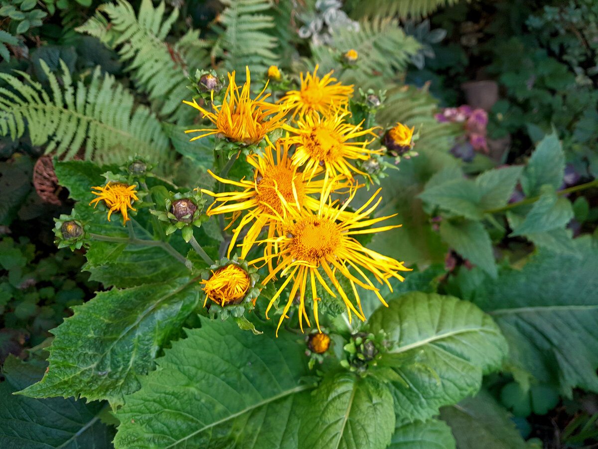 Фотография автора.