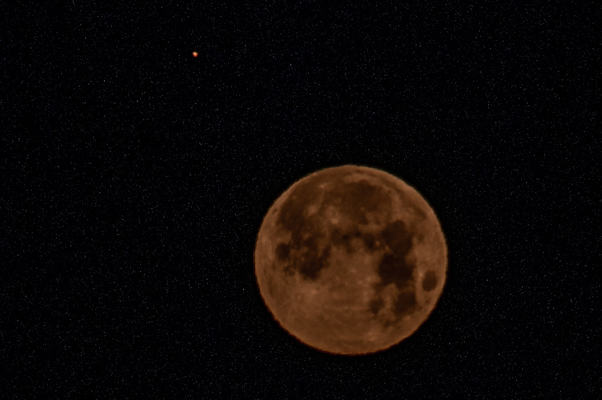 Svetlana Vozmilova/Globallookpress