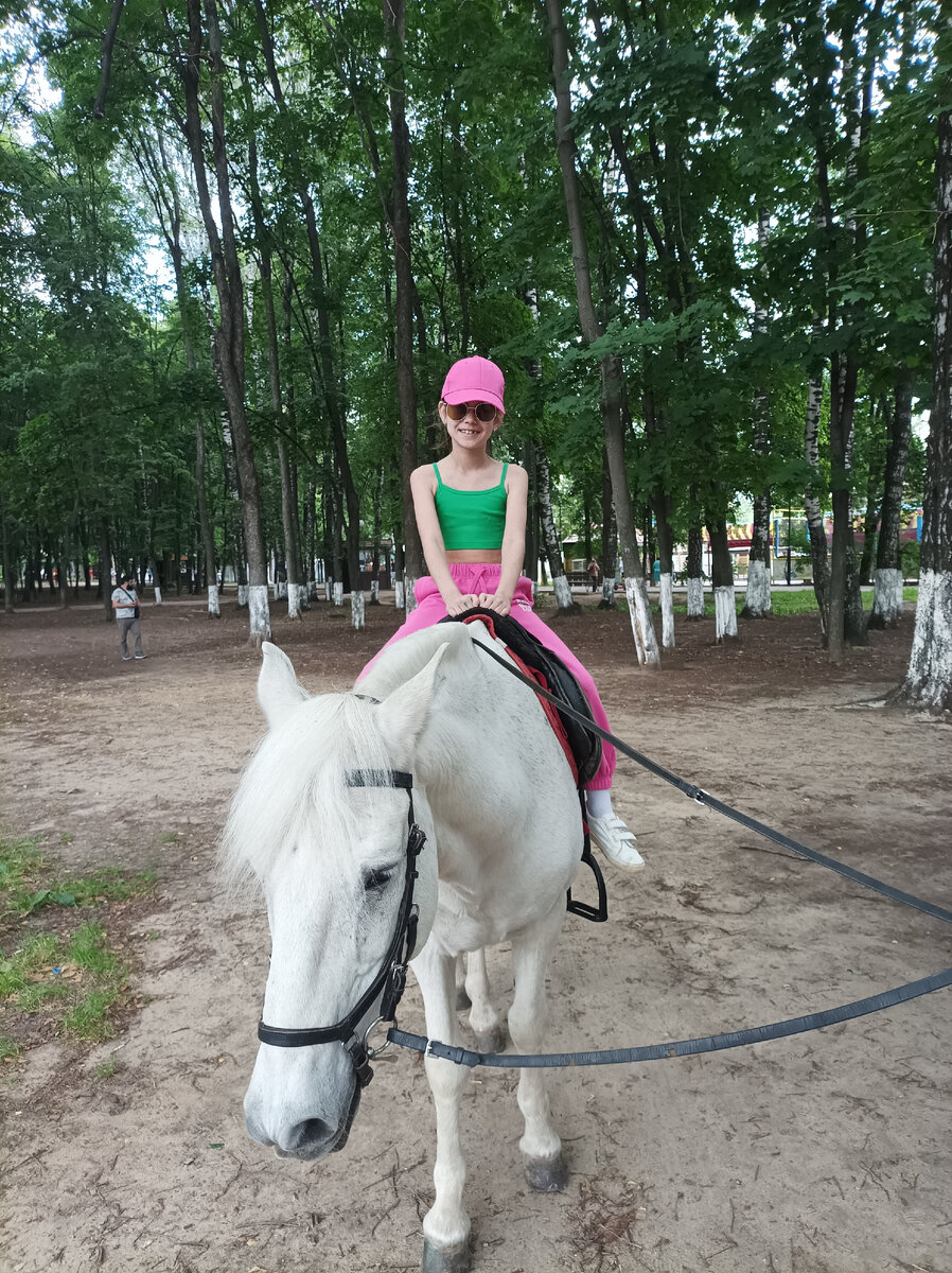 Виви