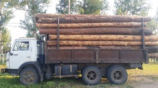    © Photo : Пресс-служба ДП Павлодарской области