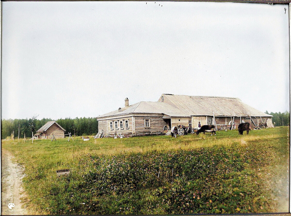 Презентация цветная фотография