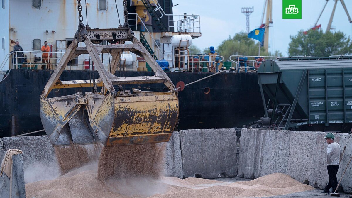    Фото: Associated Press © 2023, Andrew Kravchenko