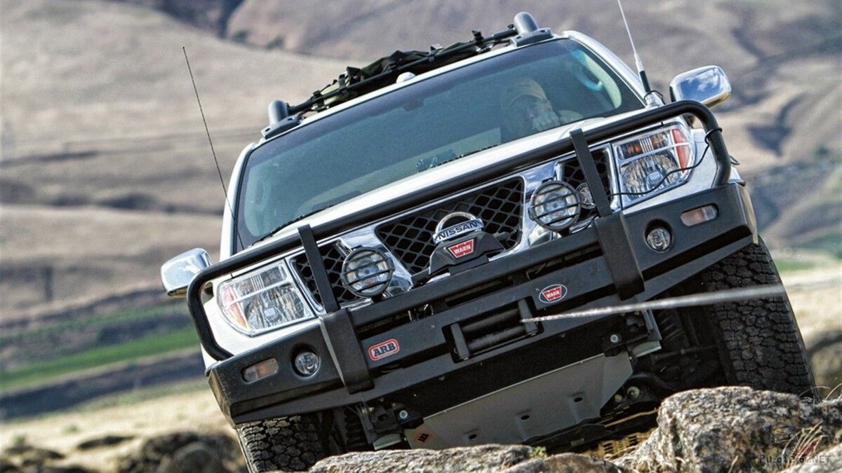 Фото из интернета