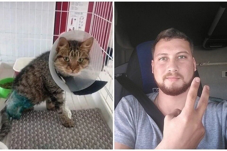 «Открыл глаза, и у него потекли слезы»: дальнобойщик проехал 800 ...