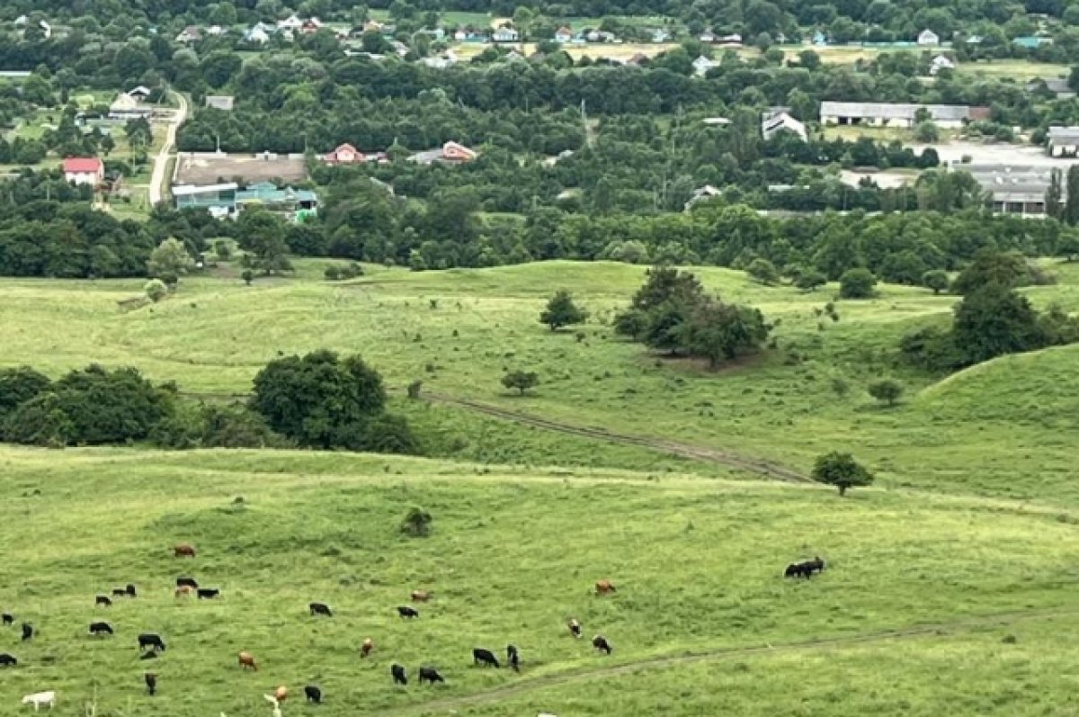    На Кубани именем Героя РФ Сергея Палагина назовут улицу в одной из станиц