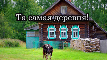 Уехал в деревню ПРОСТОКВАШИНО! Покинутая деревня ОТАРЫ, озеро СВЕТЛОЯР. Нижегородская область.