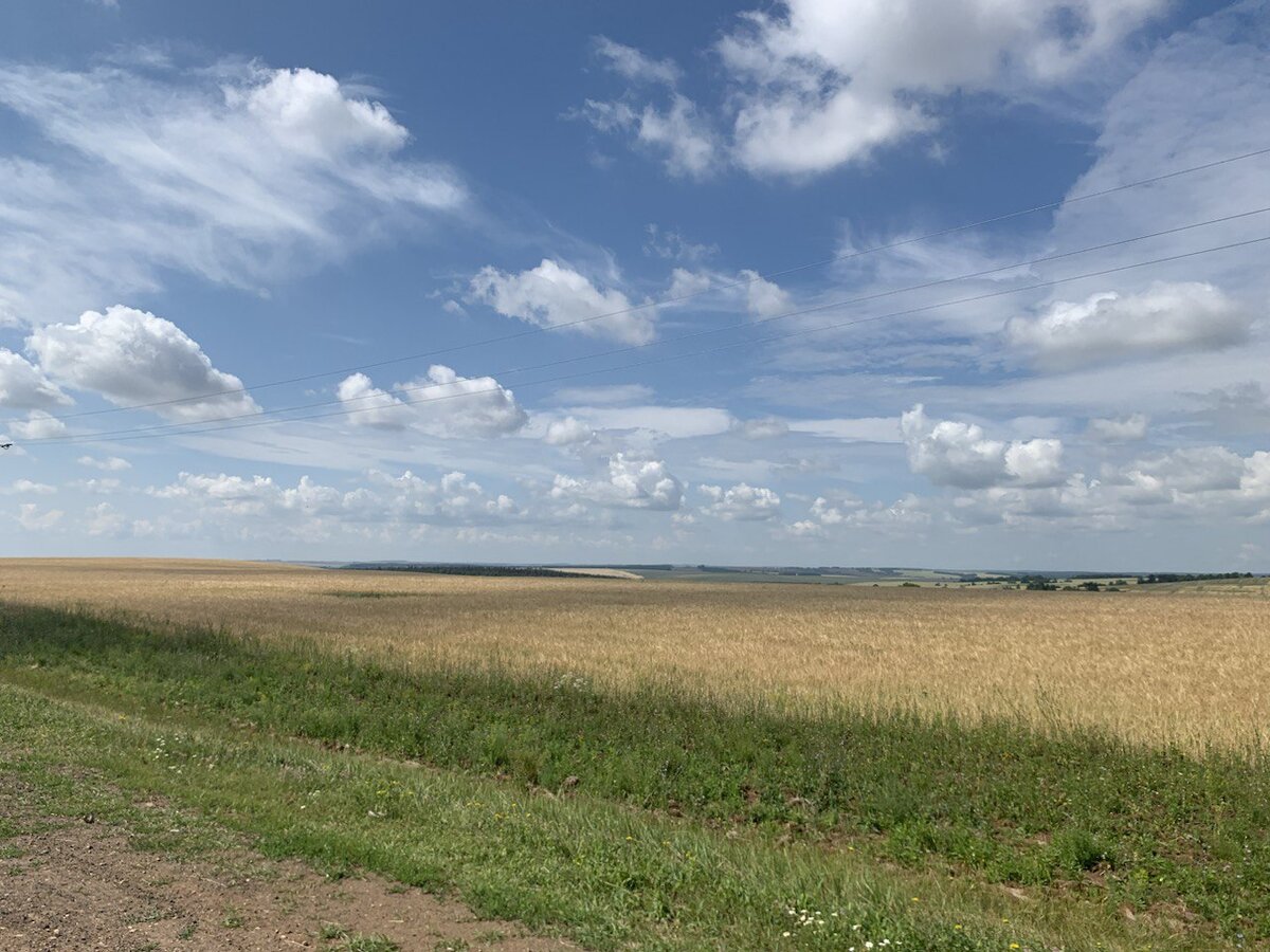 Дорога между Ижевском и Елабугой