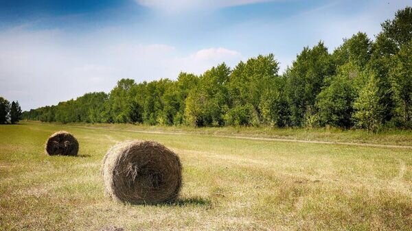    © Photo : Миннацэкономики Казахстана