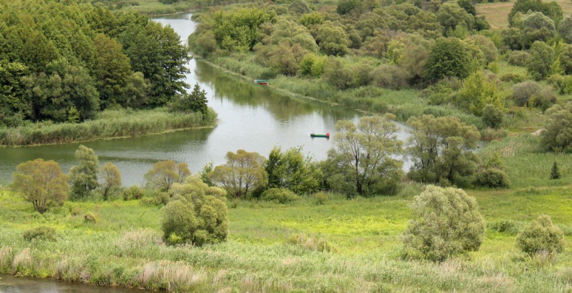    Фото: foto-besplatno.ru