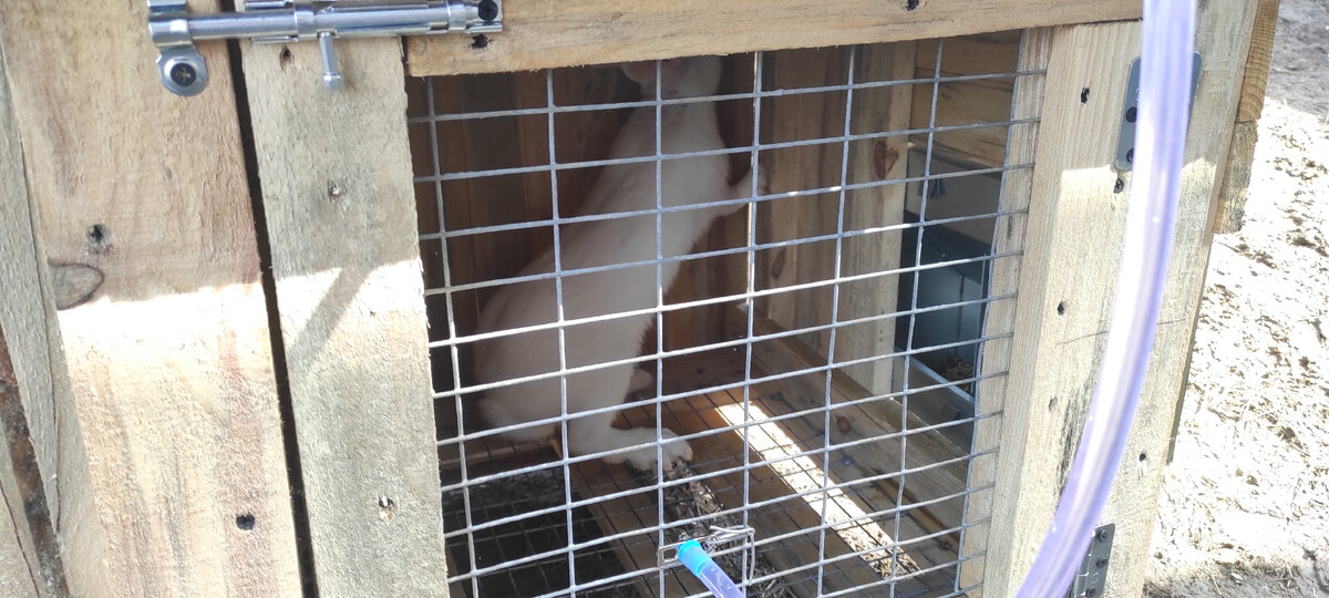 Максим изучает новое жилище.