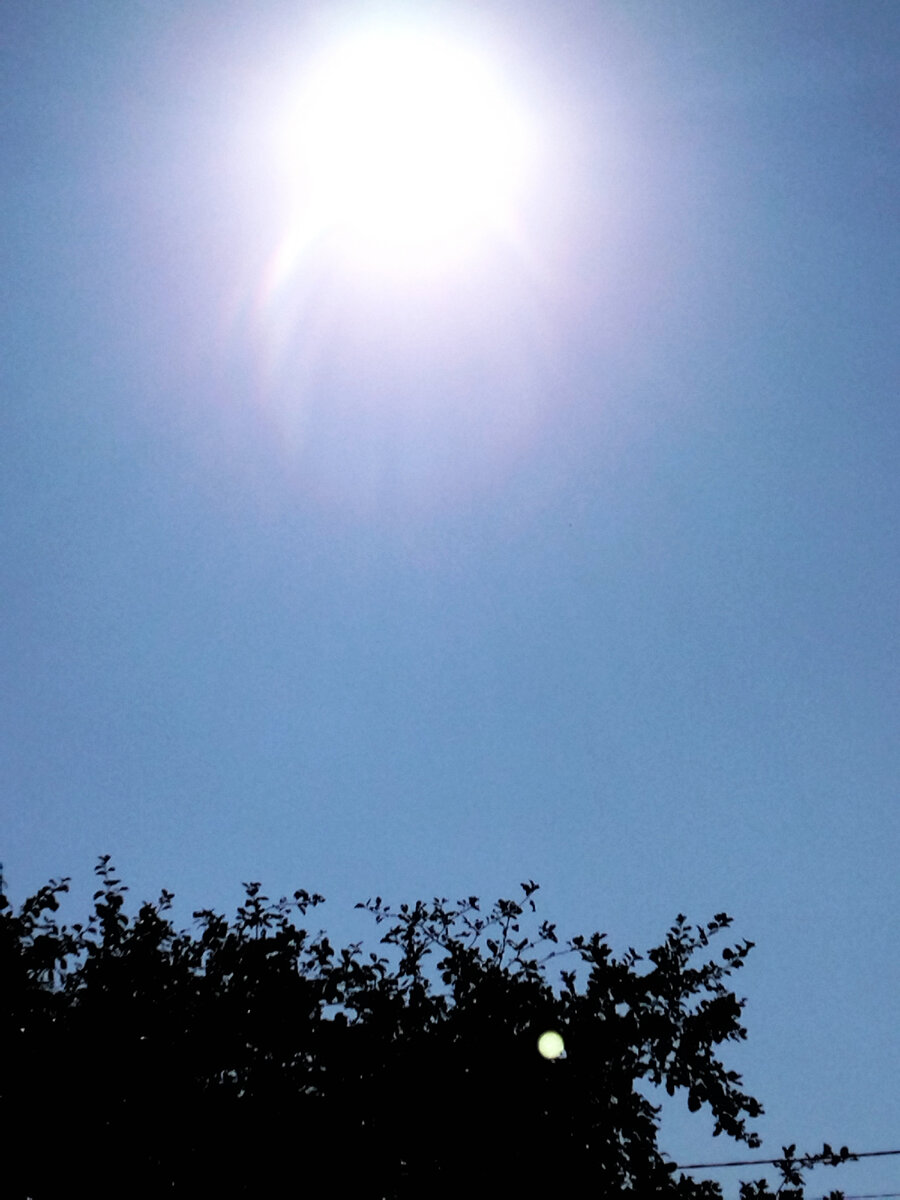 Не думала я, что буду против дождя | Домик в деревне | Дзен