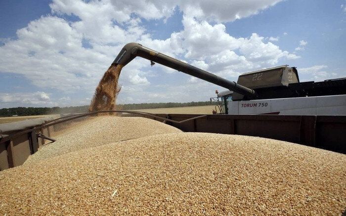    После дождей на полях Оренбуржья возобновились уборочные работы Марина Шарт