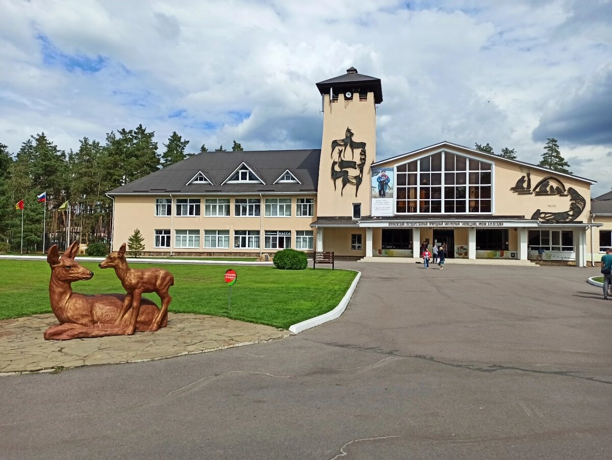 Бобровский краеведческий музей. Воронежский государственный природный  биосферный заповедник имени В. Н. Пескова | Путеводитель души | Дзен