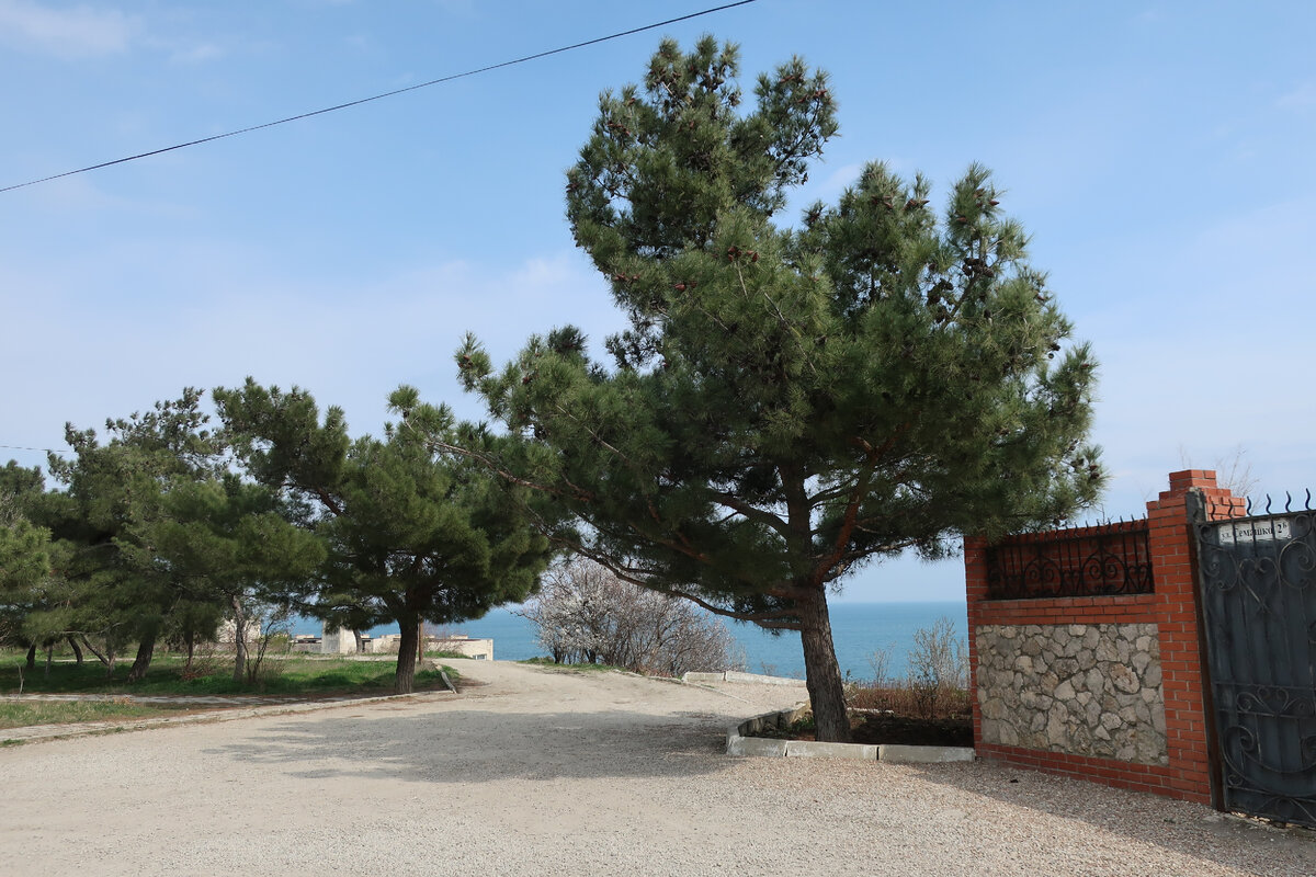 Красота! Рядом с отелем, у спуска в город...