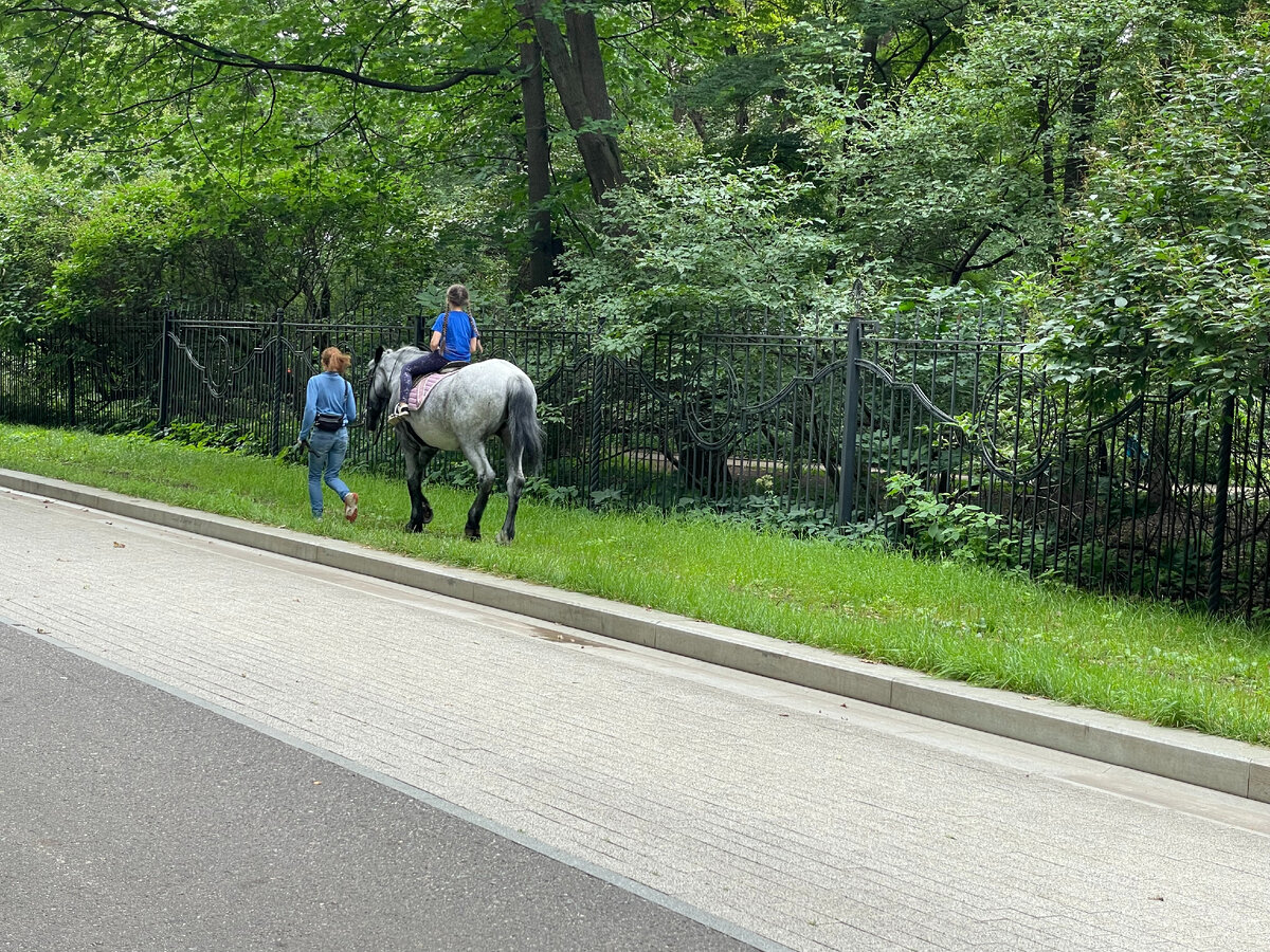 Июль 2023г. в Москве