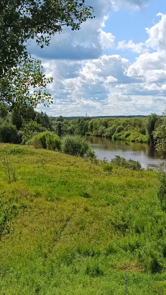Фото автора статьи. 