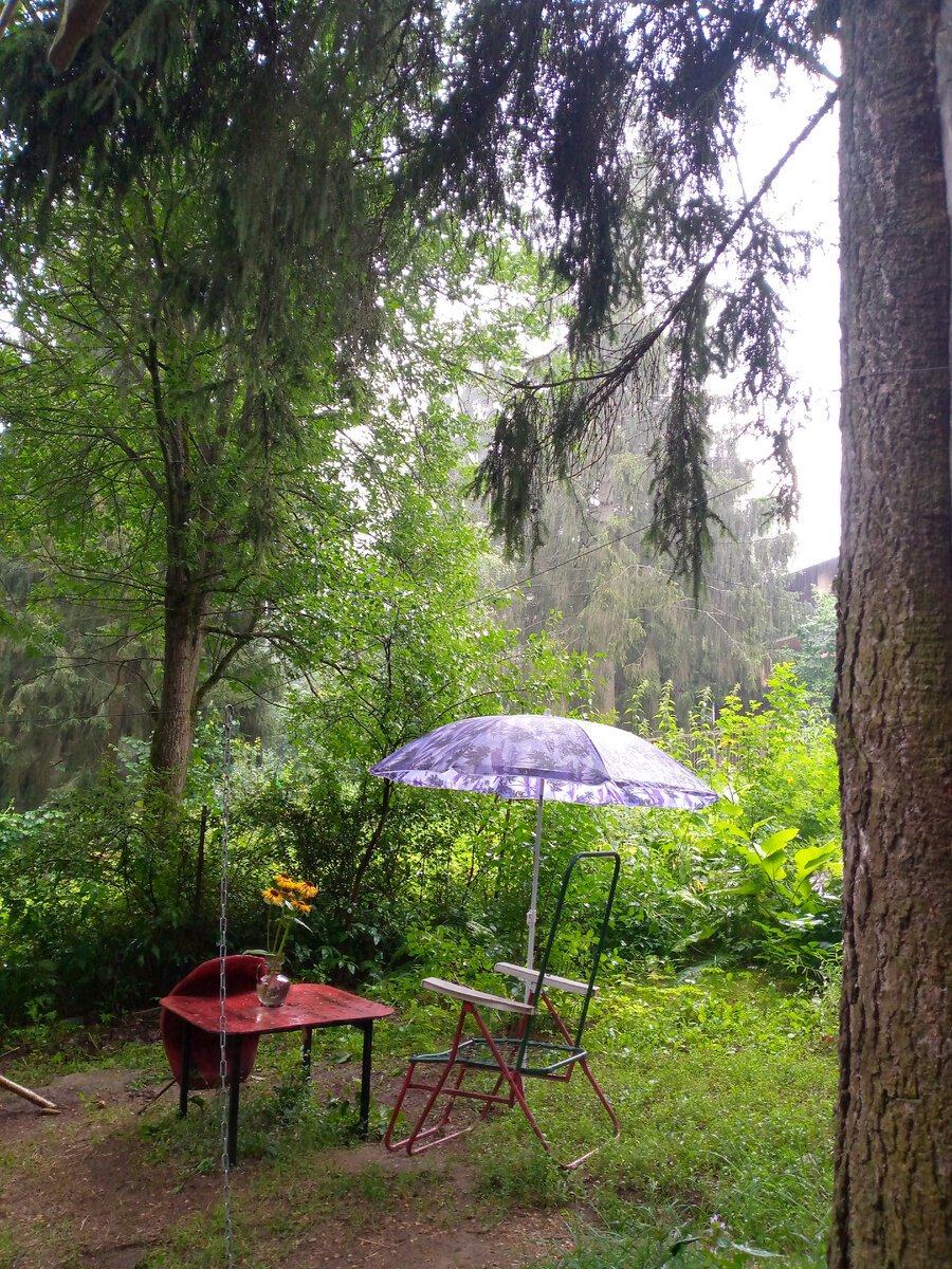 Ни дня без дождя.