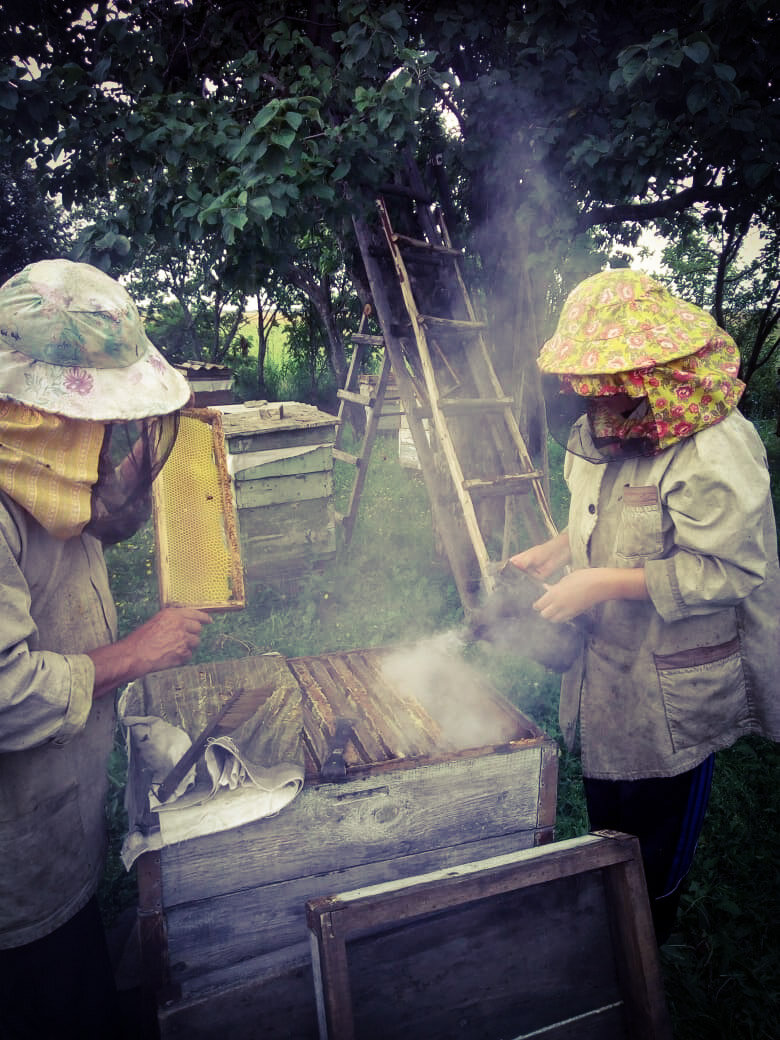 Сын с дедом на пасеке