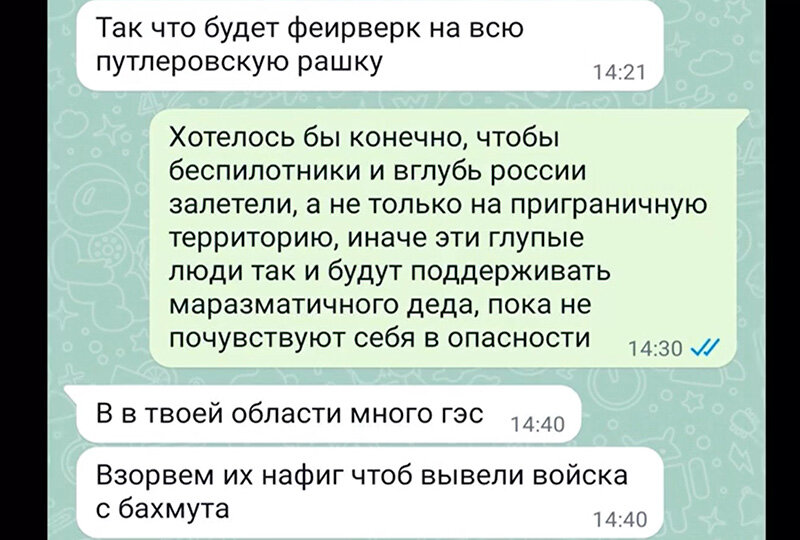    Переписка с СБУ, Нетунаева