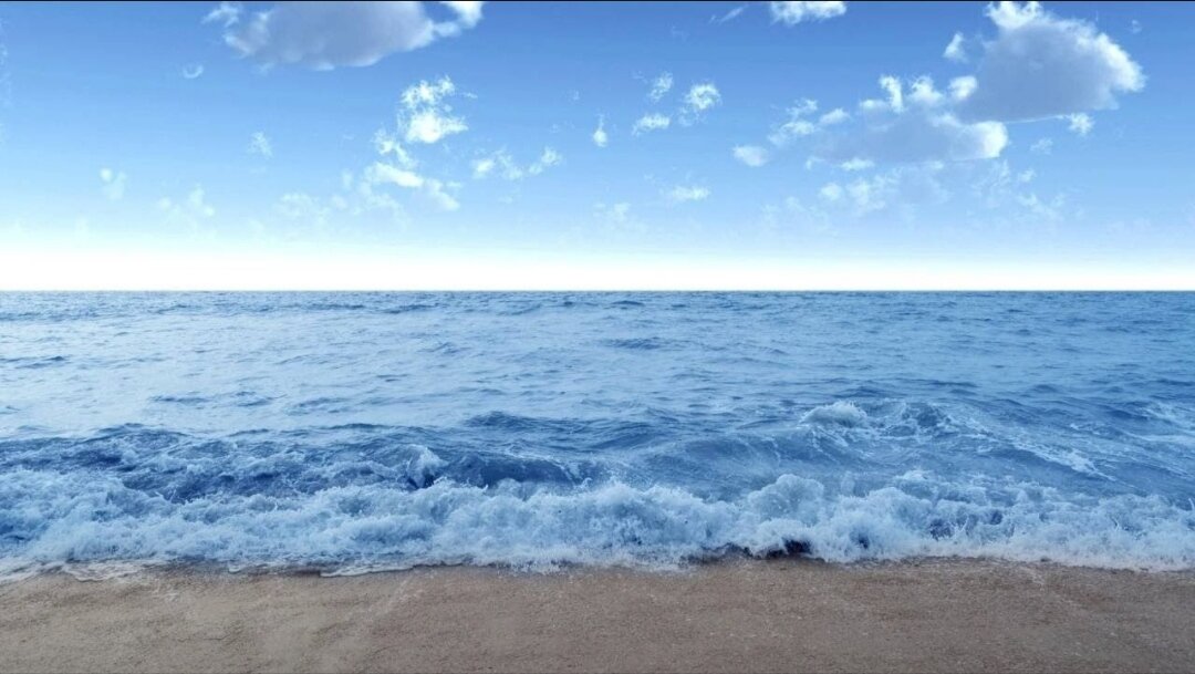 Чёрное море 