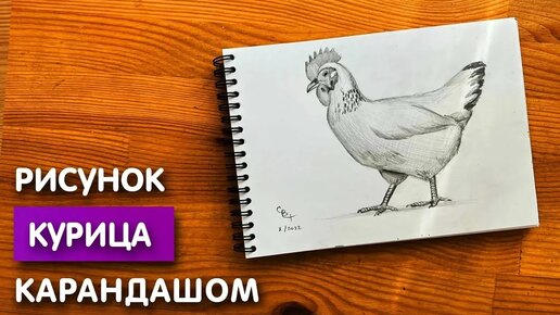 Как нарисовать цыплёнка карандашами поэтапно