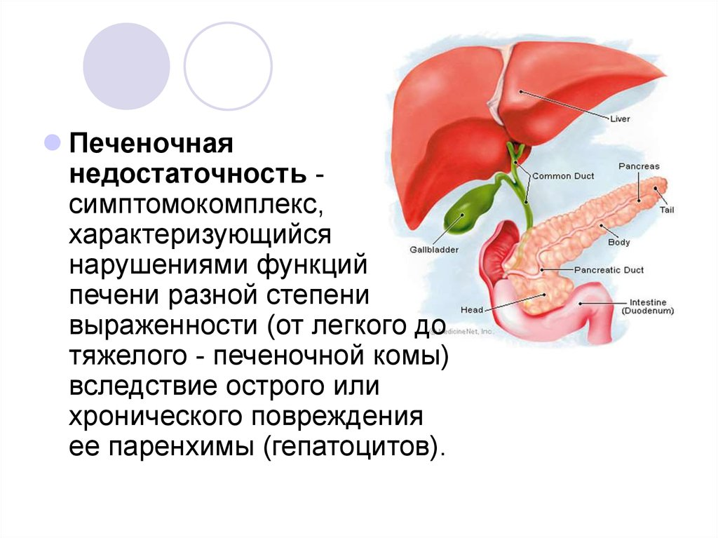 Печеночная недостаточность у взрослых