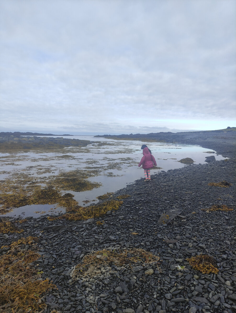 Мыс Немецкий. 