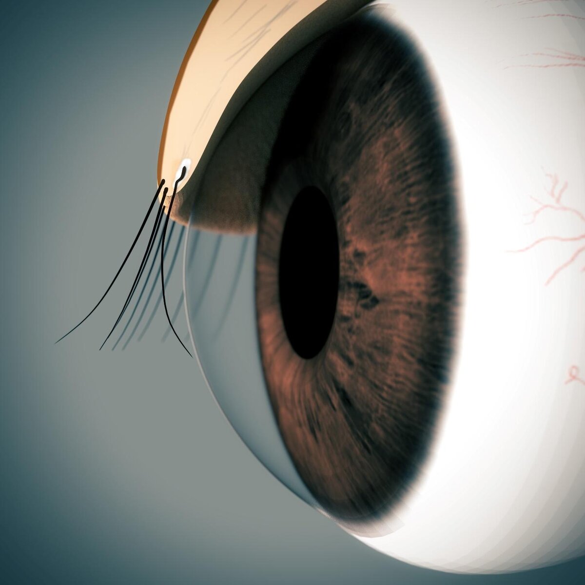 Галлюцинации, паралич, кошачий зрачок и другие редкие заболевания глаз |  Evolutis Clinic | Дзен