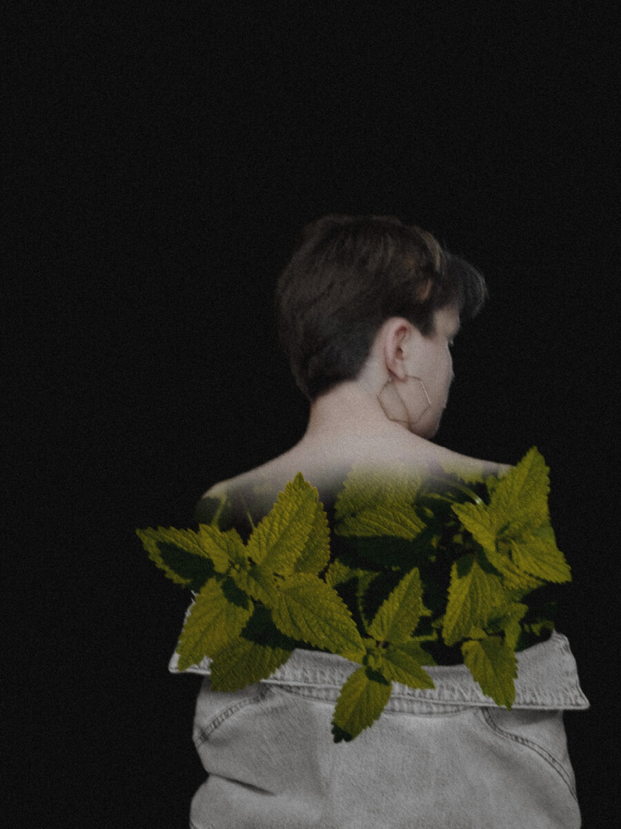 Обработка из архива автора, 2022