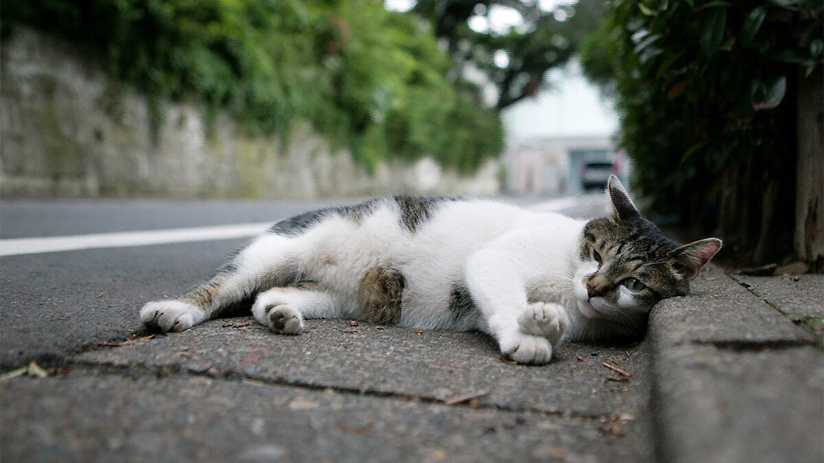 источник фото: dataphoto.sibnet.ru