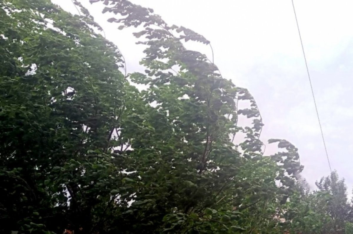    Спасатели предупреждают липчан о сильном ветре