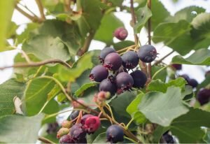    Фото: freepik / Автор: rina9s Анна Полякова