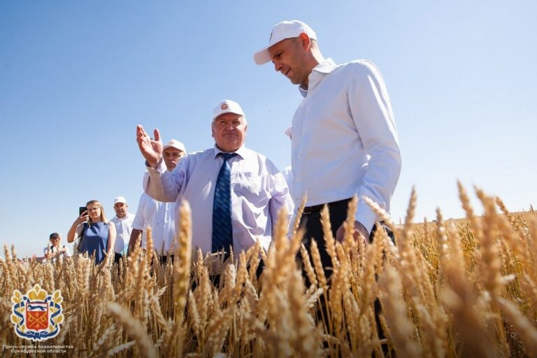    В Оренбуржье среднемесячная зарплата сотрудников АПК выросла на 14 процентов Кристина Просвиркина