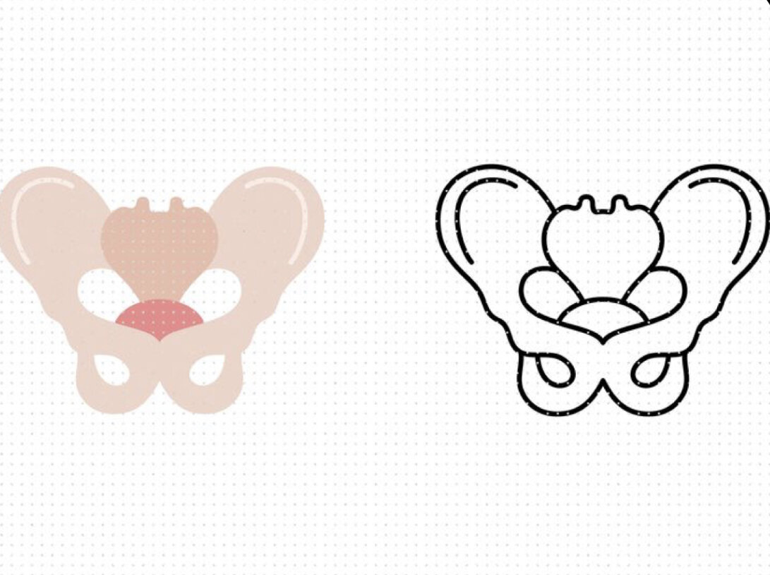 Иллюстрация из свободного доступа 