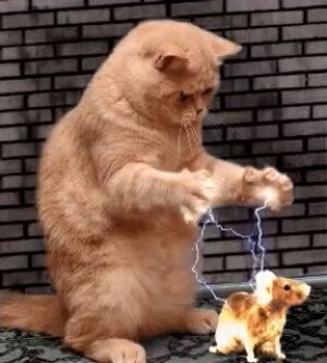 Фото властелина круга жизни