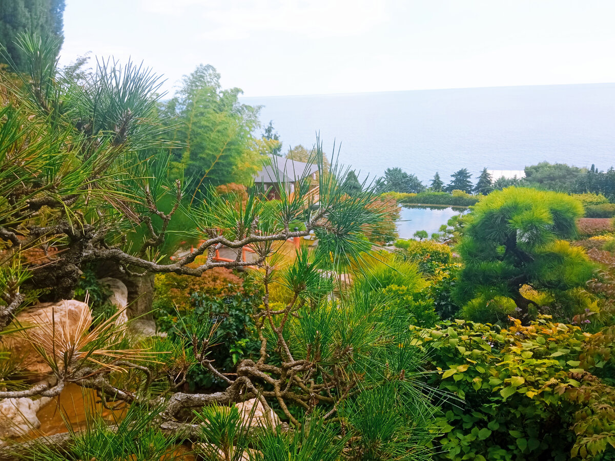 Японский сад