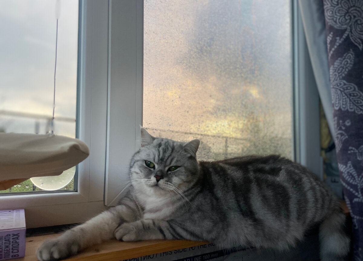 Феб Аполлон и дождь за окном. Крым 