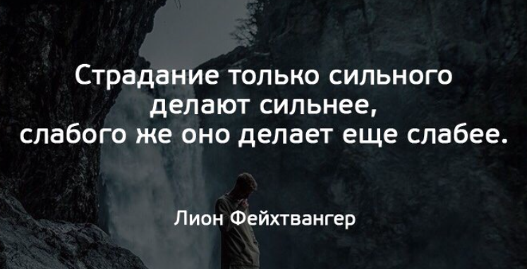 Страдающие цитаты