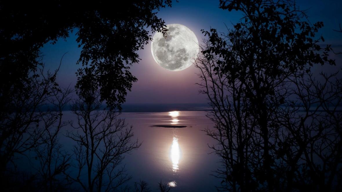 Картинки Яндекс