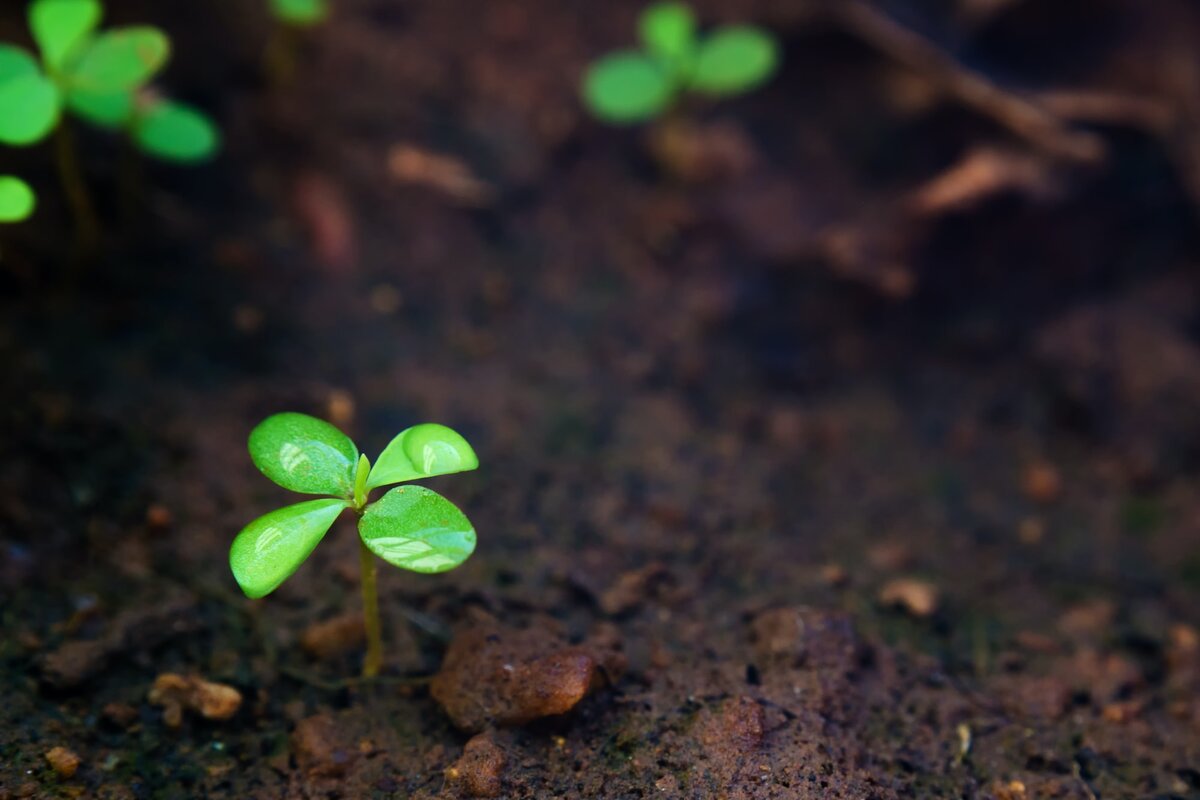 Photo by Manikandan Annamalai / Unsplash 