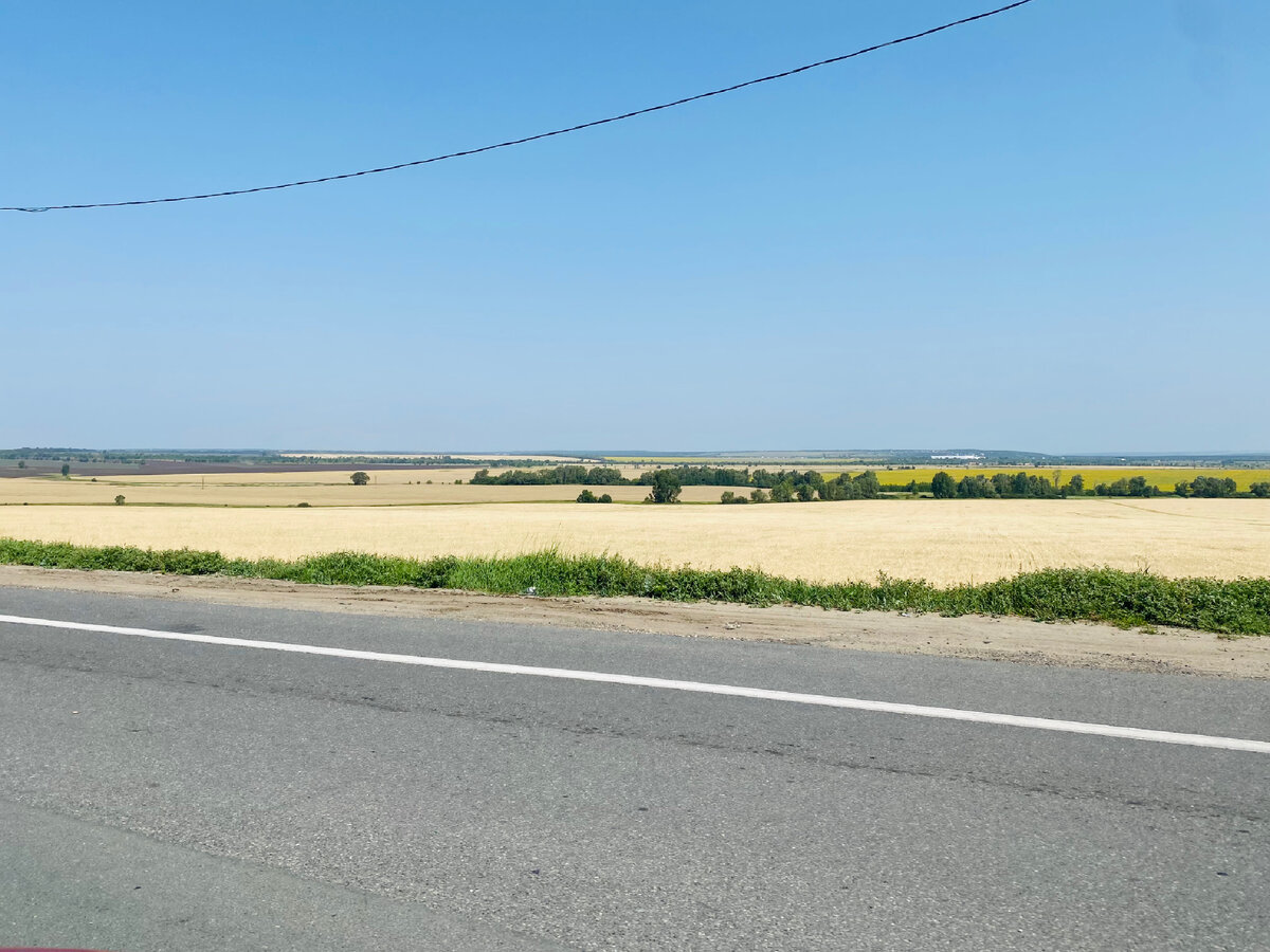 Чтобы попасть в хороший глэмпинг, надо пройти сто  путей и проехать сто дорог. А если серьезно - очень жаль, что фото не передает в полной мере - поле с пшеницей - живое! По нему волны перекатываются, невероятно красиво и так тепло на душе от его вида! Фото автора