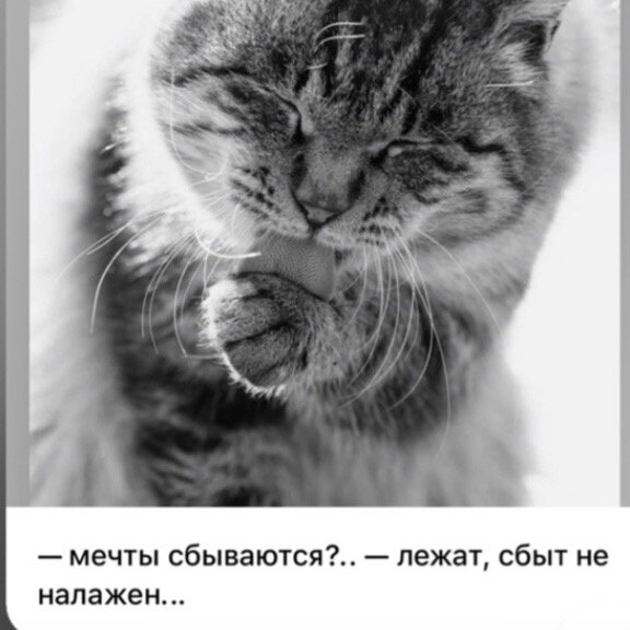 иллюстрация из яндекс картинки.
