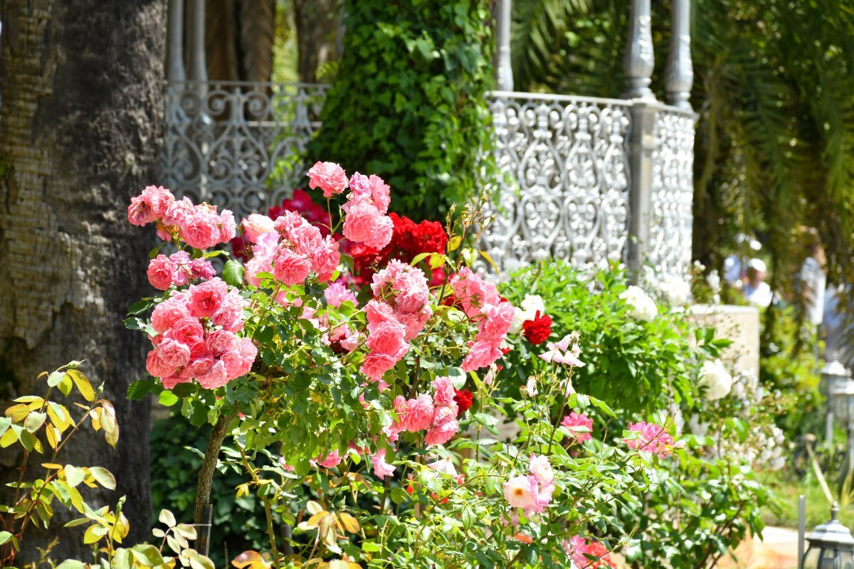    В Сочи в текущем году реконструируют насосную станцию в Верхнеармянском Лоо